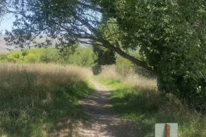 Escuela Agraria Tornquist – Campo de Prácticas