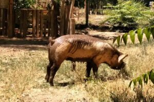 Escuela Agropecuaria CET 17
