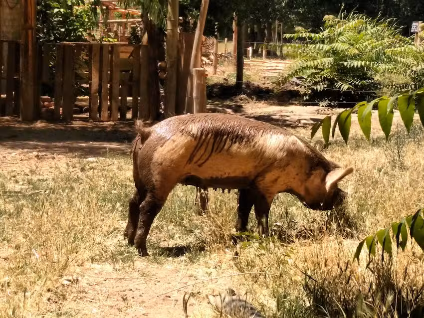Escuela Agropecuaria CET 17
