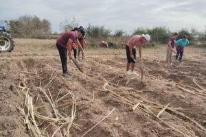 Escuela Agrotecnica Amalia H. Castillo