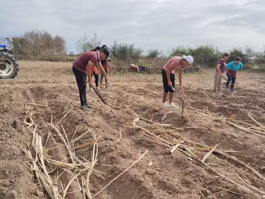 Escuela Agrotecnica Amalia H. Castillo