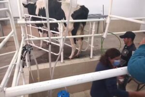 Escuela Agrotecnica Ej&eacute;rcito Argentino