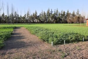 Escuela Agrot&eacute;cnica Famailla: Ing. Agr. Jorge Palacios.
