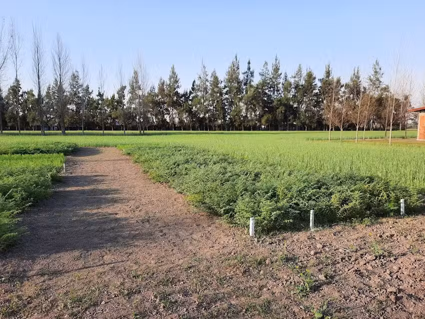Escuela Agrot&eacute;cnica Famailla: Ing. Agr. Jorge Palacios.