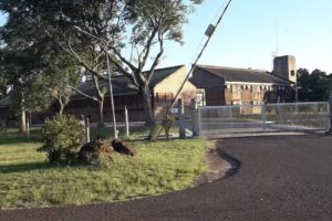 Escuela Agrotecnica N&deg;152 Manuel Maria Calderon