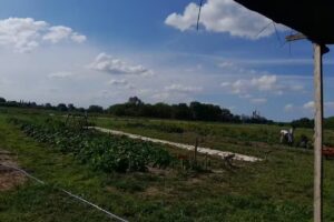 Escuela Agrotécnica Pergamino