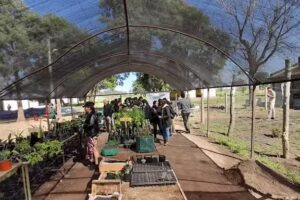 Escuela Agrotecnica Soldado Cajal