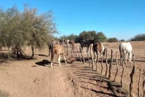 Escuela Albergue Provincia de San Luis