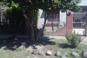 Escuela Amadeo Jacques