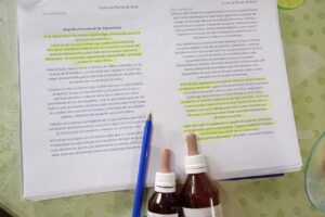 Escuela Amanecer Ancestral