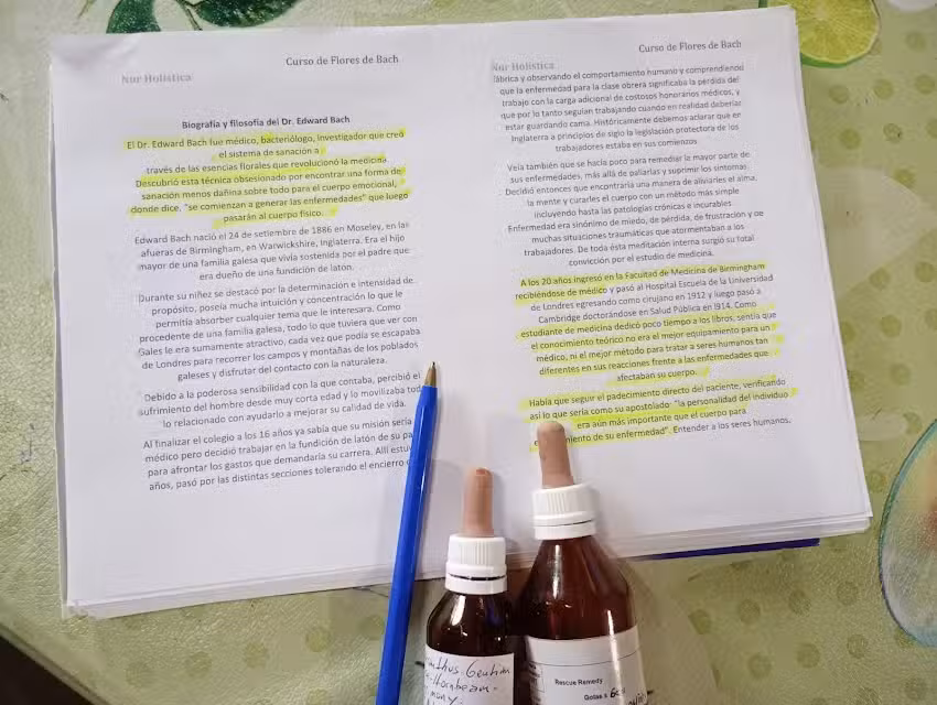 Escuela Amanecer Ancestral