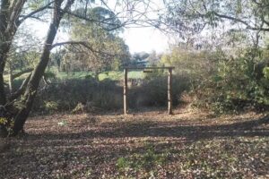 Escuela Budo Shin Campus