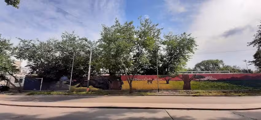 Escuela Cacique Guaymall&eacute;n