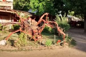 Escuela Creciendo Juntos