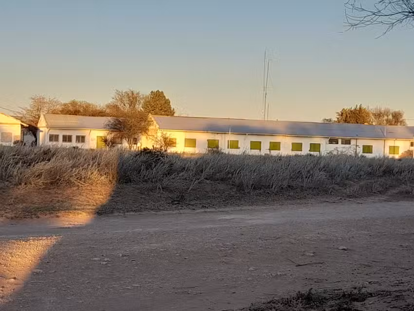 Escuela de Arbol Solo