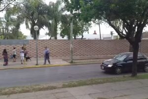 Escuela de Educación Especial N° 1429 “Dra. Sara Faisal”