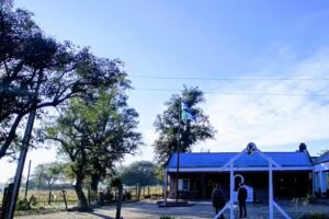 Escuela de Educaci&oacute;n Primaria N&deg; 207