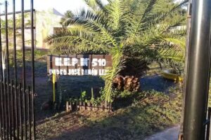 Escuela de Educaci&oacute;n Primaria N&deg; 510 &ldquo;Pedro Jos&eacute; Ram&oacute;n Leale&rdquo;