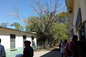 Escuela De Educaci&oacute;n Primaria N&ordm;16 &ldquo;Imperio Del Jap&oacute;n&rdquo;