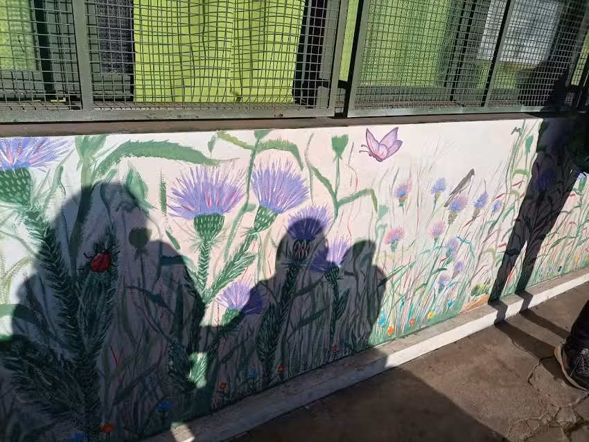 Escuela De Educaci&oacute;n Primaria N&ordm;19 &ldquo;Jos&eacute; Hernandez&rdquo;