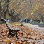 Escuela De Educaci&oacute;n Primaria N&ordm;4 &ldquo;Bernardino Rivadavia&rdquo;