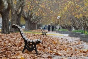 Escuela De Educaci&oacute;n Primaria N&ordm;4 &ldquo;Bernardino Rivadavia&rdquo;
