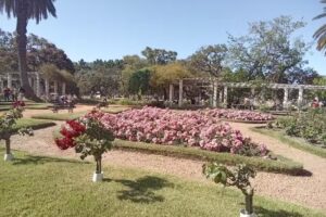 Escuela De Educaci&oacute;n Primaria N&ordm;45 &ldquo;Haydee Sosa Guerrero&rdquo;