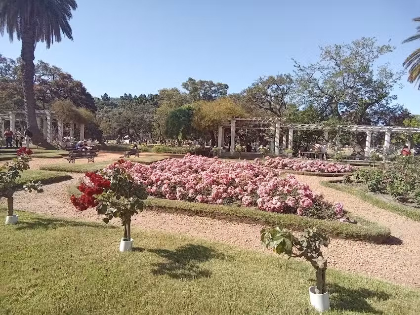 Escuela De Educaci&oacute;n Primaria N&ordm;45 &ldquo;Haydee Sosa Guerrero&rdquo;
