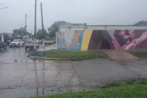 Escuela de Educaci&oacute;n Secundaria N 5 ALFREDO PALACIOS