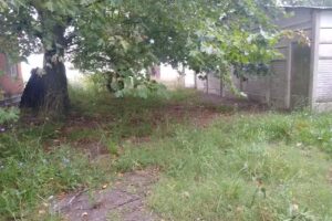 Escuela de Educaci&oacute;n Secundaria N&deg;12 &ndash; Escuela de EP N&deg;43 Cecilia Grierson