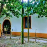 Escuela De Educaci&oacute;n Secundaria N&ordm;8