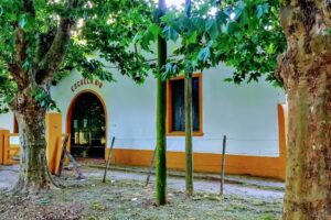 Escuela De Educación Secundaria Nº8