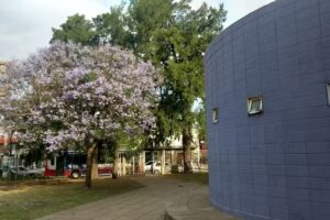 Escuela de Educaci&oacute;n Secundaria T&eacute;cnica N&ordm;2 &ldquo;Albert Einstein&rdquo; &ndash; Ituzaing&oacute;