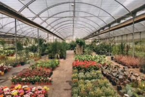 Escuela de Jardiner&iacute;a, Centro de Biotecnolog&iacute;a en Chaco Argentina