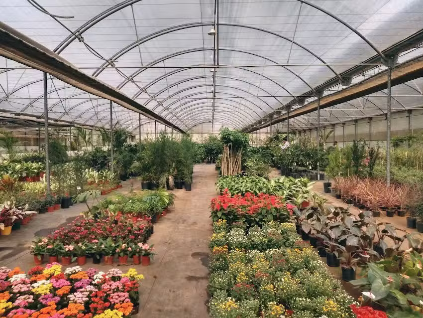 Escuela de Jardiner&iacute;a, Centro de Biotecnolog&iacute;a en Chaco Argentina