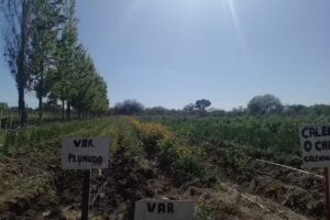 Escuela de la Familia Agr&iacute;cola, Tuclame, Cordoba