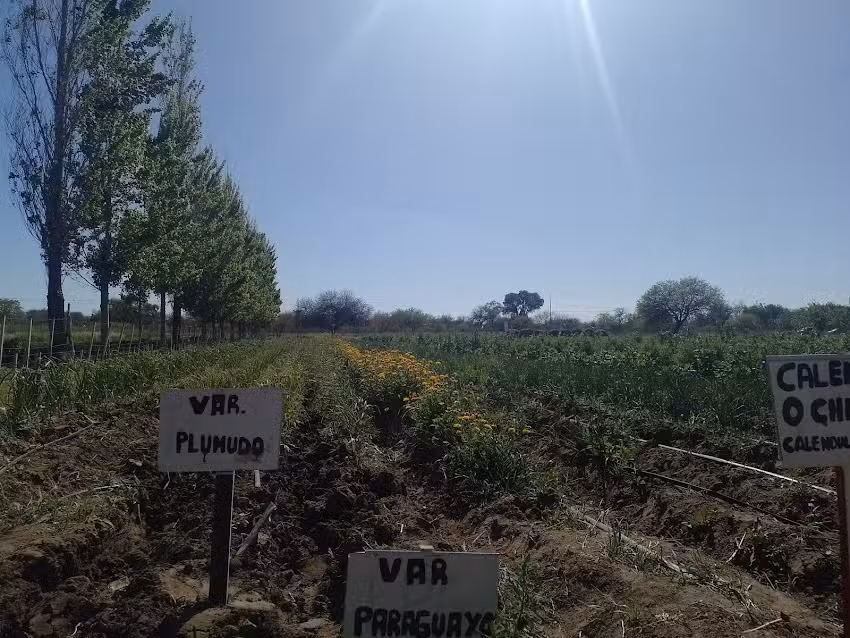 Escuela de la Familia Agr&iacute;cola, Tuclame, Cordoba