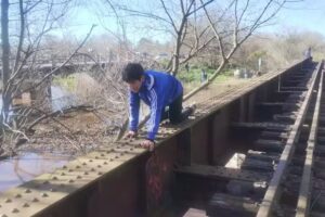 Escuela de los papus pros