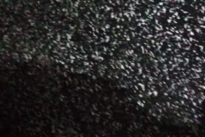 Escuela de Nivel Inicial N&deg; 382. &ldquo;Libertador de Am&eacute;rica&rdquo;