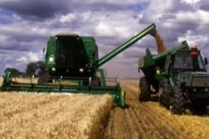 Escuela de Peritos Clasificadores de Granos de Junín – Edu Distancia