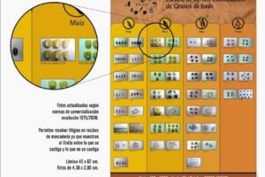 Escuela de Peritos Clasificadores de Granos de Jun&iacute;n &ndash; Edu Presencial