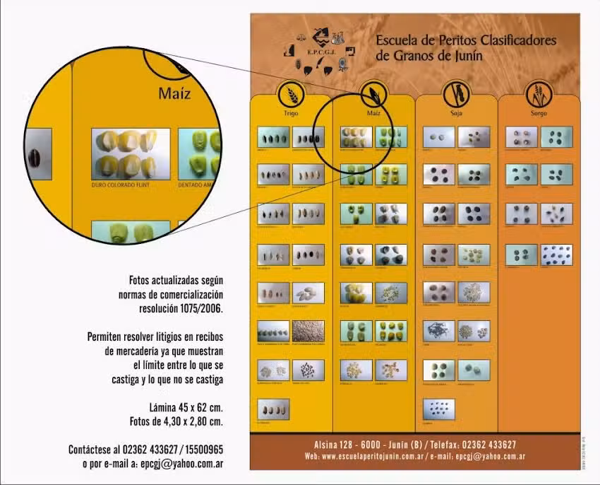 Escuela de Peritos Clasificadores de Granos de Jun&iacute;n &ndash; Edu Presencial
