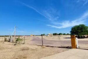 Escuela de Sauce Solo