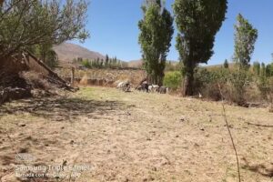 Escuela &deg;345 Santa Rita de CASSIA