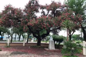 Escuela Dr. Angel Gallardo N&deg;6190