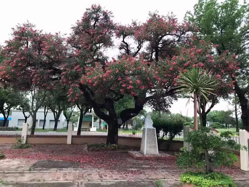 Escuela Dr. Angel Gallardo N&deg;6190