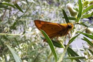 ESCUELA EGB N&ordm;22 &ldquo;SARGENTO JUAN BAUTISTA AZOPARDO&rdquo;