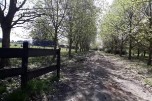 Escuela EGB nro. 17 Juan de Lezica y Torrezuri