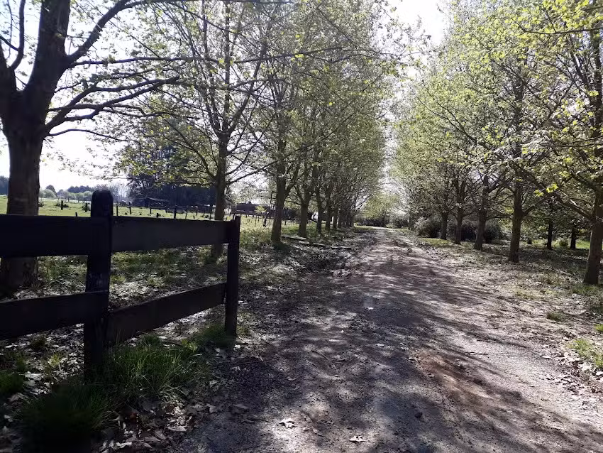 Escuela EGB nro. 17 Juan de Lezica y Torrezuri