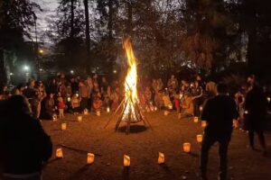 Escuela El Viejo Abedul